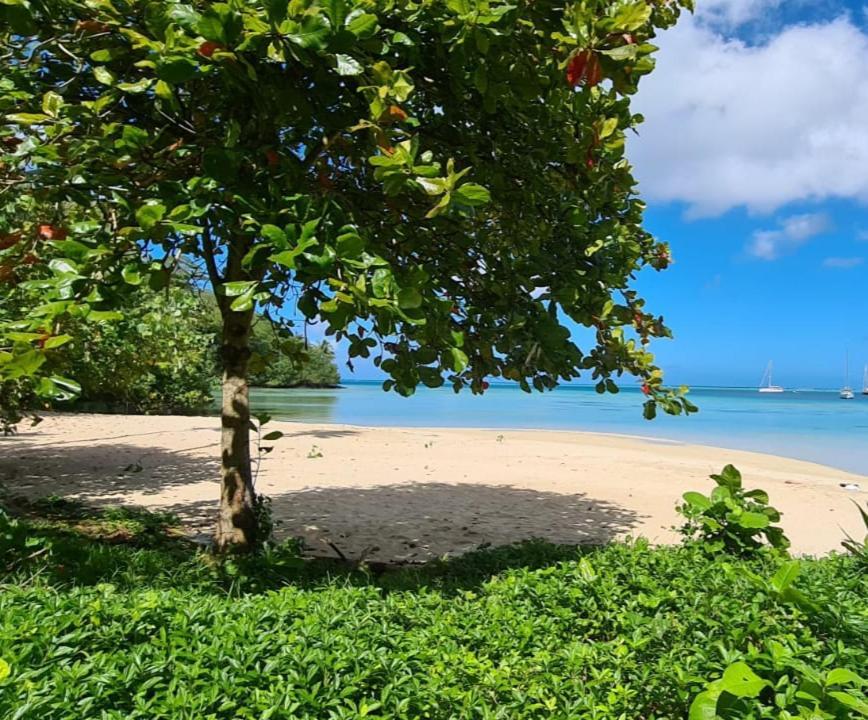 Huahine Manta Lodge Avec 4X4 Optionnel Haapu Eksteriør bilde