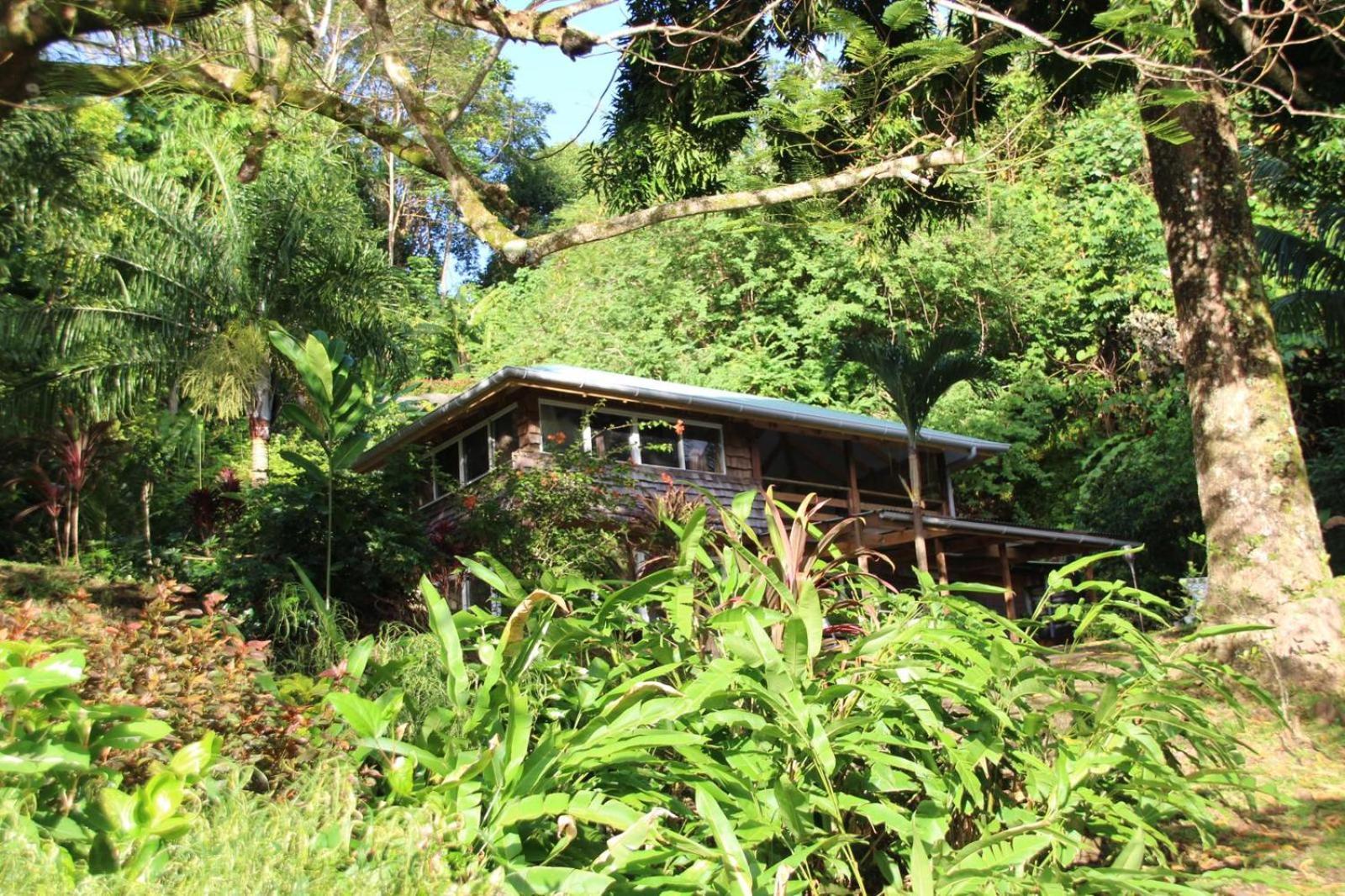 Huahine Manta Lodge Avec 4X4 Optionnel Haapu Eksteriør bilde