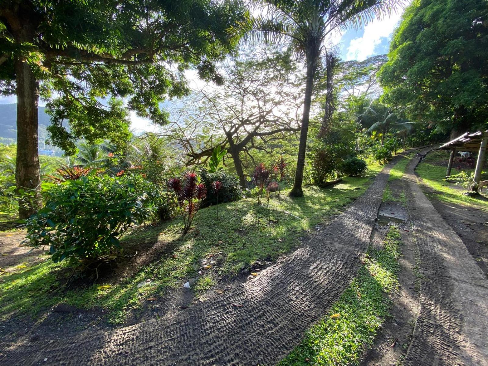Huahine Manta Lodge Avec 4X4 Optionnel Haapu Eksteriør bilde